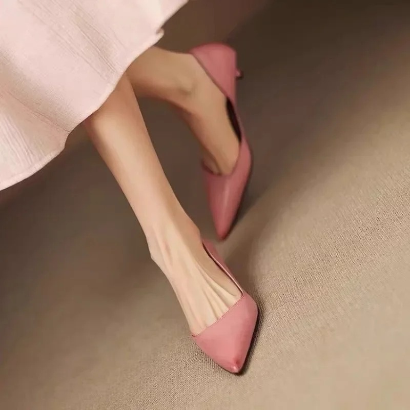 Dames puntschoen stiletto hakk - Women'S Shoes In Fashion recensie en prijs