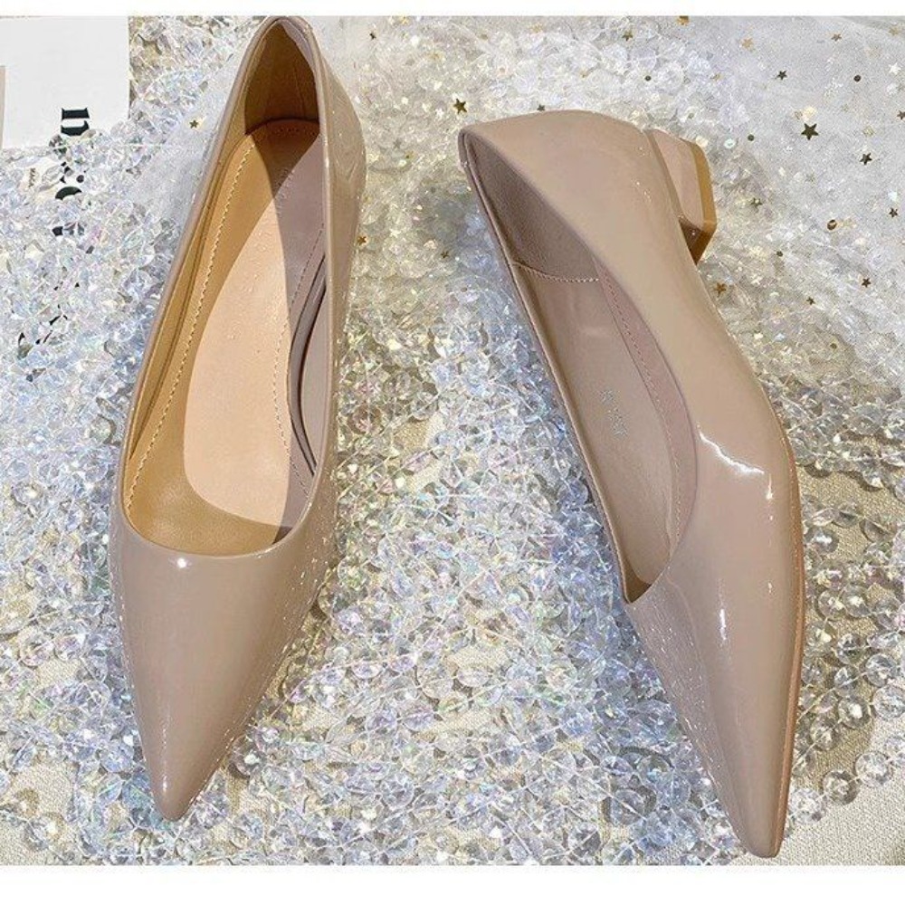 Franse stijl gepatenteerd lede - Pointed Toe Flat recensie en prijs